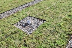 Wallbarn-M-Tray-Modular-Green-Roof-Project-04