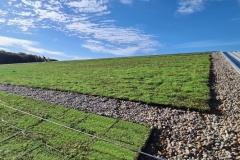 Wallbarn-M-Tray-Modular-Green-Roof-Project-06