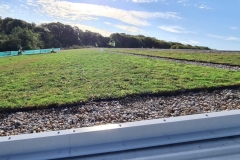 Wallbarn-M-Tray-Modular-Green-Roof-Project-07