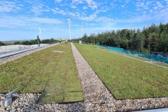 Wallbarn-M-Tray-Modular-Green-Roof-Project-11-1