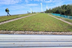 Wallbarn-M-Tray-Modular-Green-Roof-Project-12