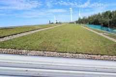Wallbarn-M-Tray-Modular-Green-Roof-Project-13