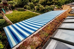 M-Tray_Sydenham_02-e1567502001723