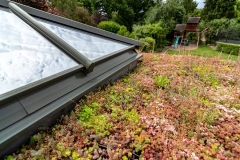 M-Tray_Sydenham_04-e1567502050611