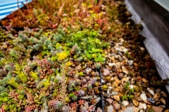 M-Tray_Sydenham_05-e1567502065309