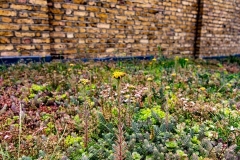 M-Tray_Sydenham_07-e1567502118597