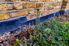 M-Tray_Sydenham_08-1