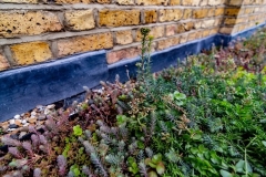 M-Tray_Sydenham_08-e1567502107123