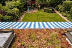 M-Tray_Sydenham_09-1-e1567504281284