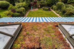 M-Tray_Sydenham_09-1