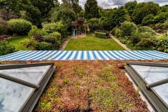 M-Tray_Sydenham_09-e1567502086431