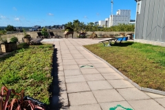 Close-Up-of-Sedum-M-Tray-before-Installation-Saxon-Court-YMCA-Project
