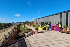 Installation-of-Sedum-M-Trays-in-Saxon-Court-YMCA-Project