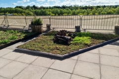 Partly-installed-Sedum-Wildflower-M-Tray-Saxon-Court-YMCA-Project-Pic-2