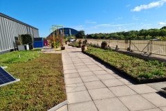 Partly-installed-Sedum-Wildflower-M-Tray-Saxon-Court-YMCA-Project