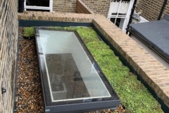 M-Tray-green-roof-domestic-extension