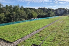 Wallbarn-M-Tray-Modular-Green-Roof-Project-10