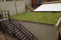 green-roof-Knightsbridge