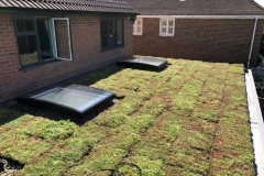 green-roof-install-single-storey-roof-5