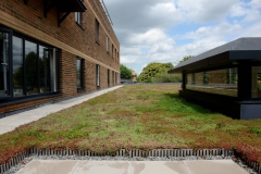 Wallbarn ‘Green Roof System’ shoot in Wimbledon and Heathrow - 15th August 2017