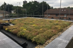 2-After-pic-2-M-Tray_Project_St-Pancras-Way