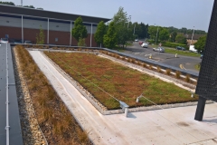 M-Tray finished roof Starbucks 2