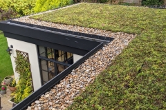 M-Tray-green-roof-extension