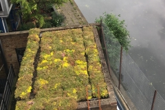 M-Tray-green-roof-project-St-Pancras-Way-05-Copy