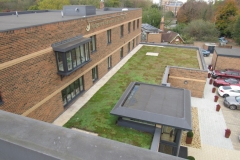 Green roof 15 month established in November