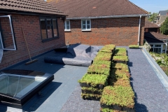 Installing green roof in difficult access 7