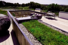 Silverlake Spa M-tray green roof
