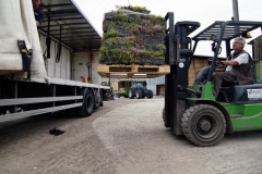How-to-install-a-green-roof