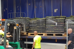 M-Tray-green-roof-on-forklift