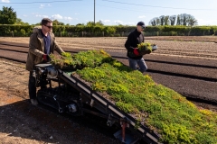 M-Tray_Farm_Harvesting_springtime-1
