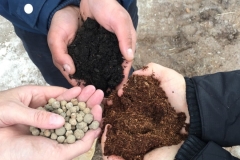 green-roof-substrate-components-