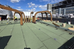 03-wallbarn-class-a-decking-kings-college-hospital-128_16x9_web1920x1080