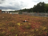 2015-08-19 11.18.25.jpg