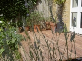arty-shot-of-decking-in-a-line-3