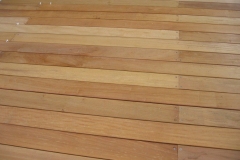 Garapa-2