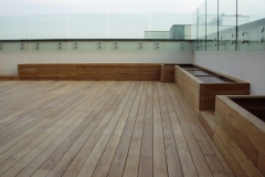 Teak-10