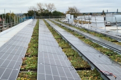 Solar-Panels-on-Wildflower-M-Tray-on-Roof-of-Turing-House-Pic-3-1
