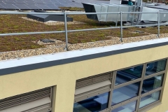 Turing-House-Wildflower-M-Tray-near-Roof-Railings-Pic-20