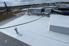 Turing-House-Wildflower-M-Tray-near-Walkway-Roof-Structure-Pic-15