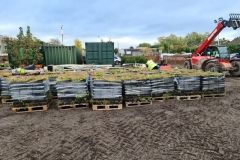 Wildflower-M-Trays-after-being-delivered-to-Site-Pic-2