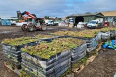 Wildflower-M-Trays-after-being-delivered-to-Site-Pic-3