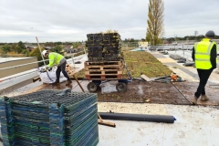 Wildflower-M-Trays-being-moved-to-final-location-on-Roof-of-Turing-House-Pic-1