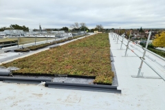 Wildflower-M-Trays-has-been-placed-on-Roof-with-Geotextile-underneath-Pic-1