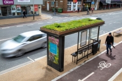 Aerial-View-of-Sedum-M-Tray-on-Clear-Channel-Green-Roof-Leicester