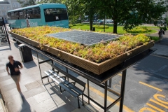 Aerial-picture-of-Sedum-M-Tray-on-Clear-Channel-Bus-Shelter-BRIGHTON-1