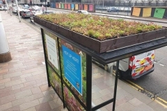 Glasgow-bee-shelter-4-1